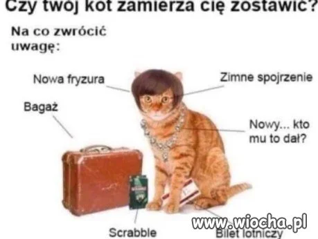 Skąd on ma nowy łańcuch?