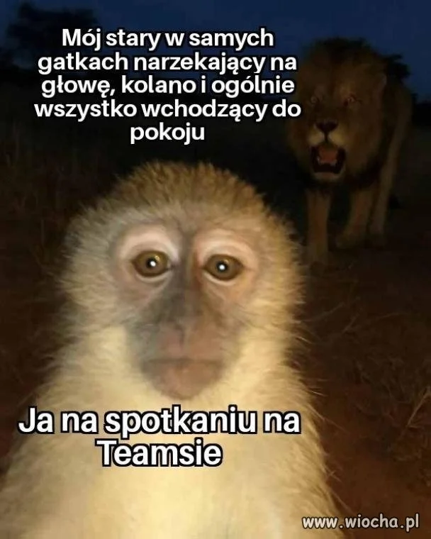 Bardzo przepraszam