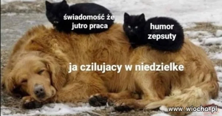 Niedziela to jeden z najgorszych dni tygodnia