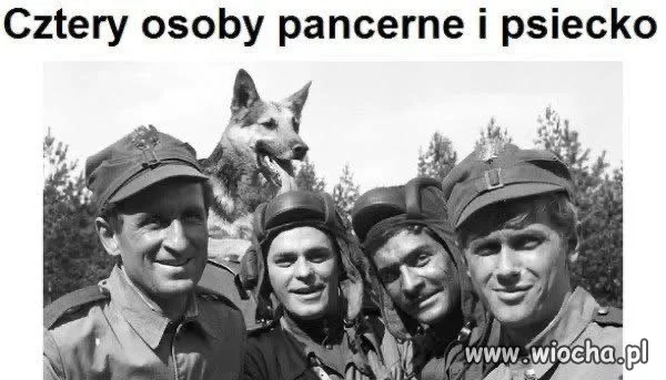 Poprawność polityczna