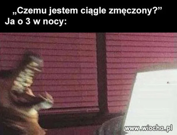 Jeszcze tylko jeden mem i spać