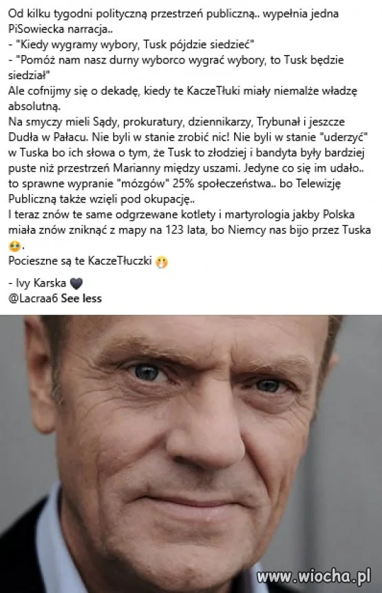 Pocieszne są te KaczeTłuczki 🤭