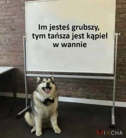 W końcu jakieś dobre wiadomości