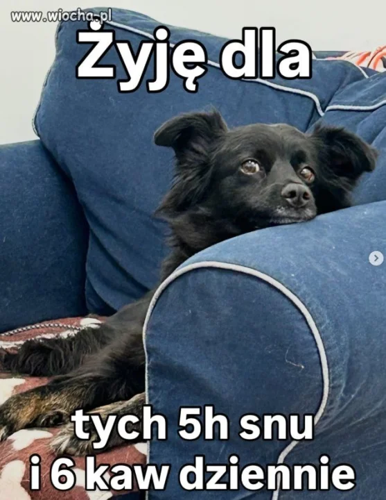 Żyję dla moich 5 godzin snu