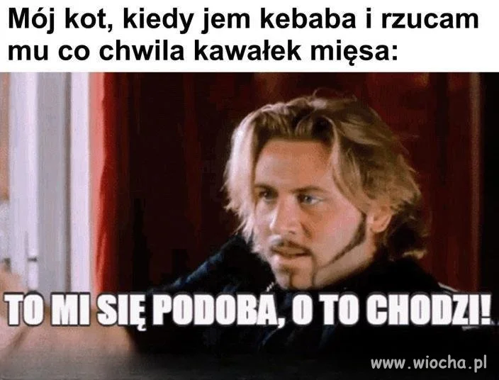 Kebab w rękach, kot rozrasta się w radości