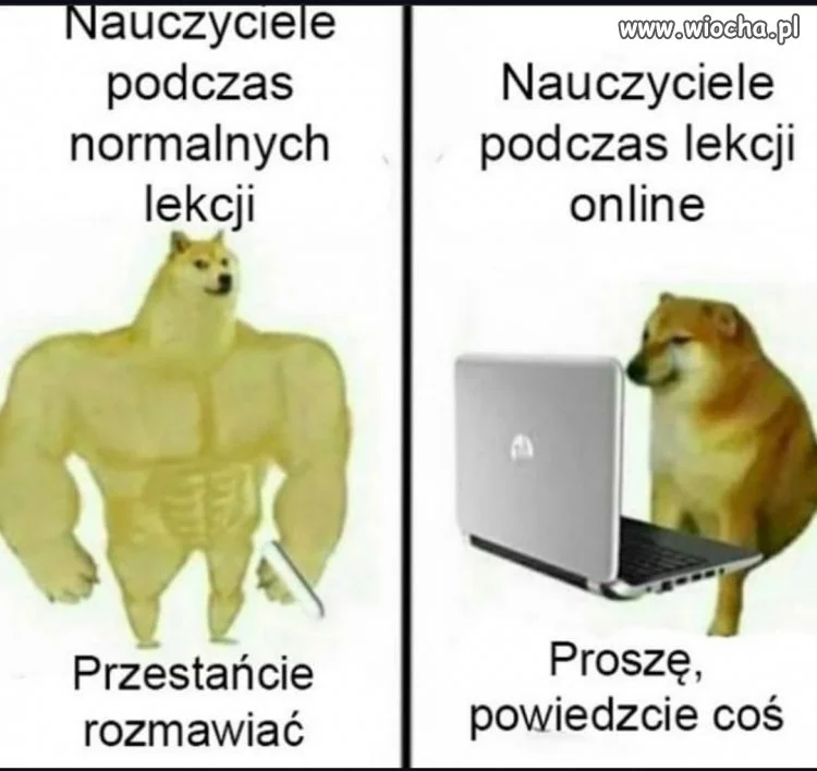 Czy wszyscy mnie słyszą?