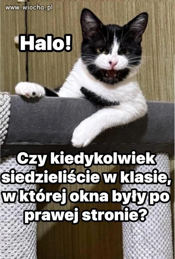 ...szach mat...