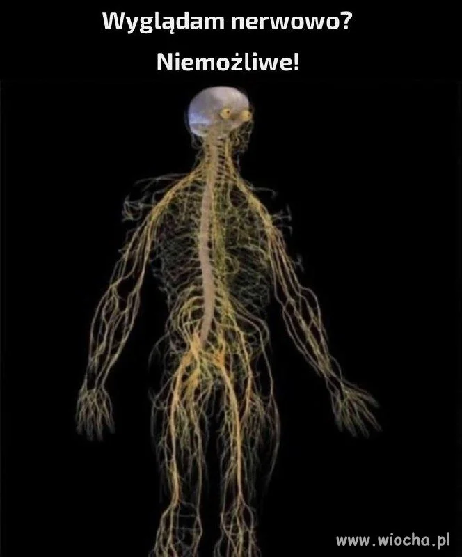 Ja mam zawsze taki wygląd