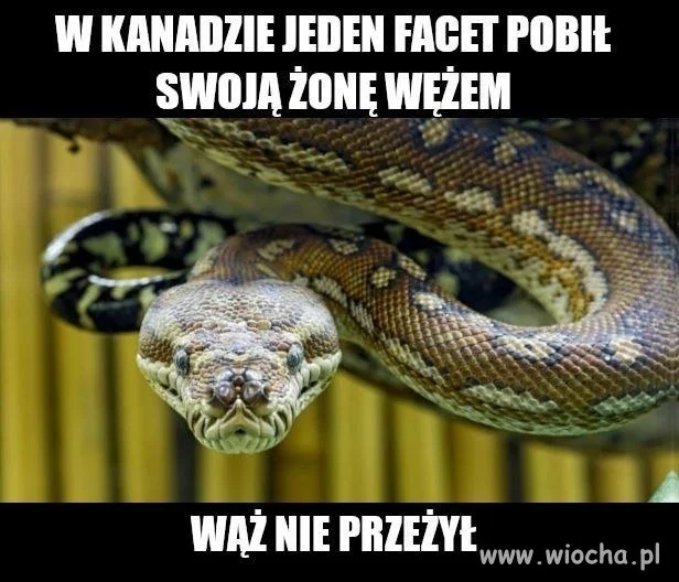Silna, niezależna kobieta