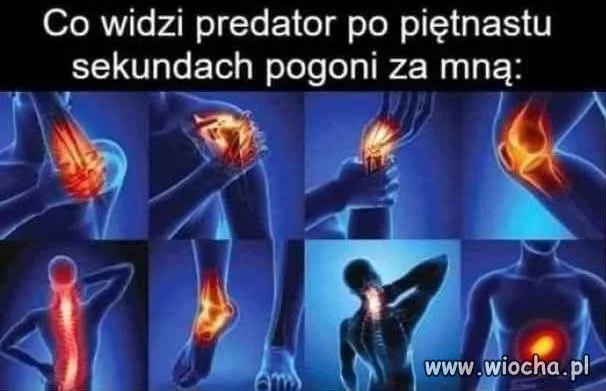 Zabójczy piętnastosekundowy bieg