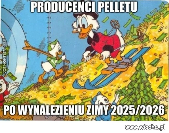 Zimowy sport, czy ciepła kasa?