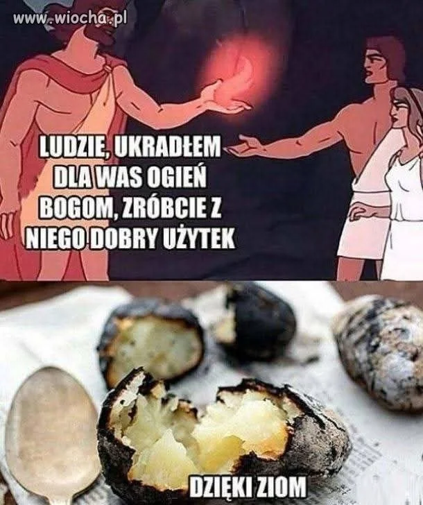Dlaczego Polacy aż tak kochają ziemniaki?