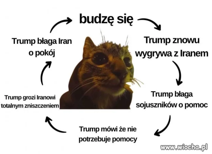 Krąg życia
