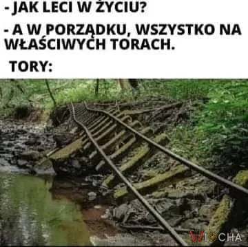 Wszystko na właściwych torach