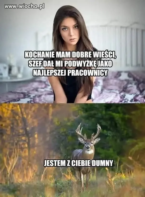 ...no to dobranoc, boli mnie głowa...