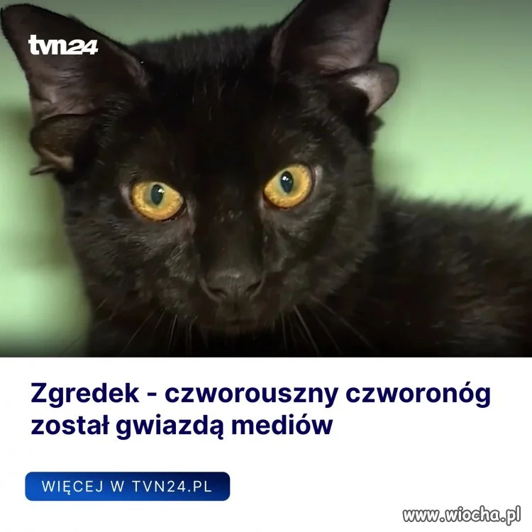 Podoba mnie się