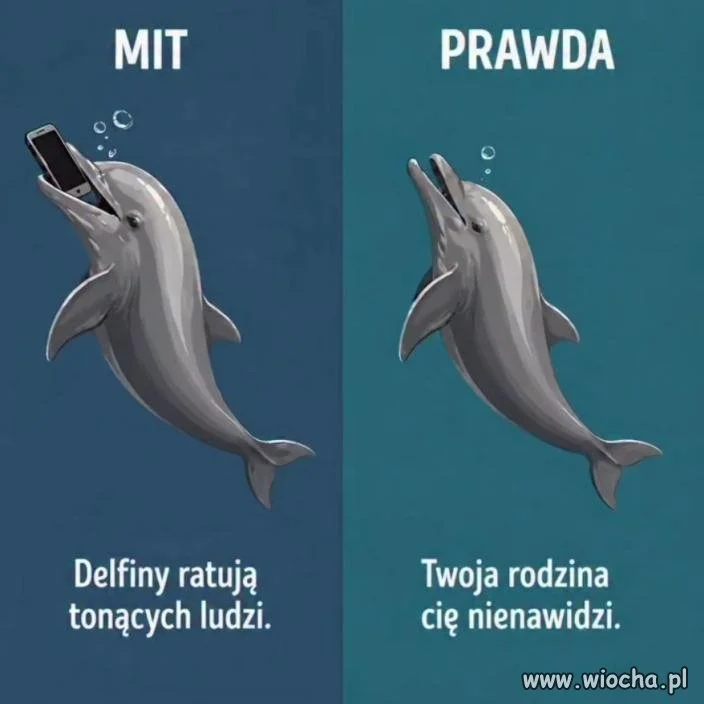Ej no, może mnie nie lubią...