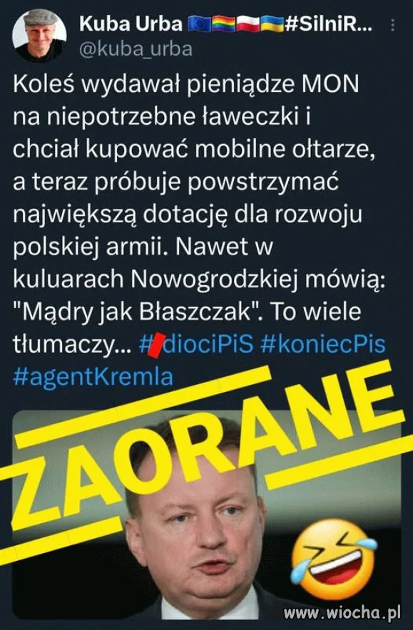 Dzióbek pisowski