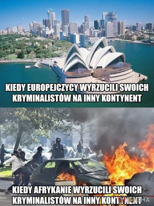 Różnice kulturowe