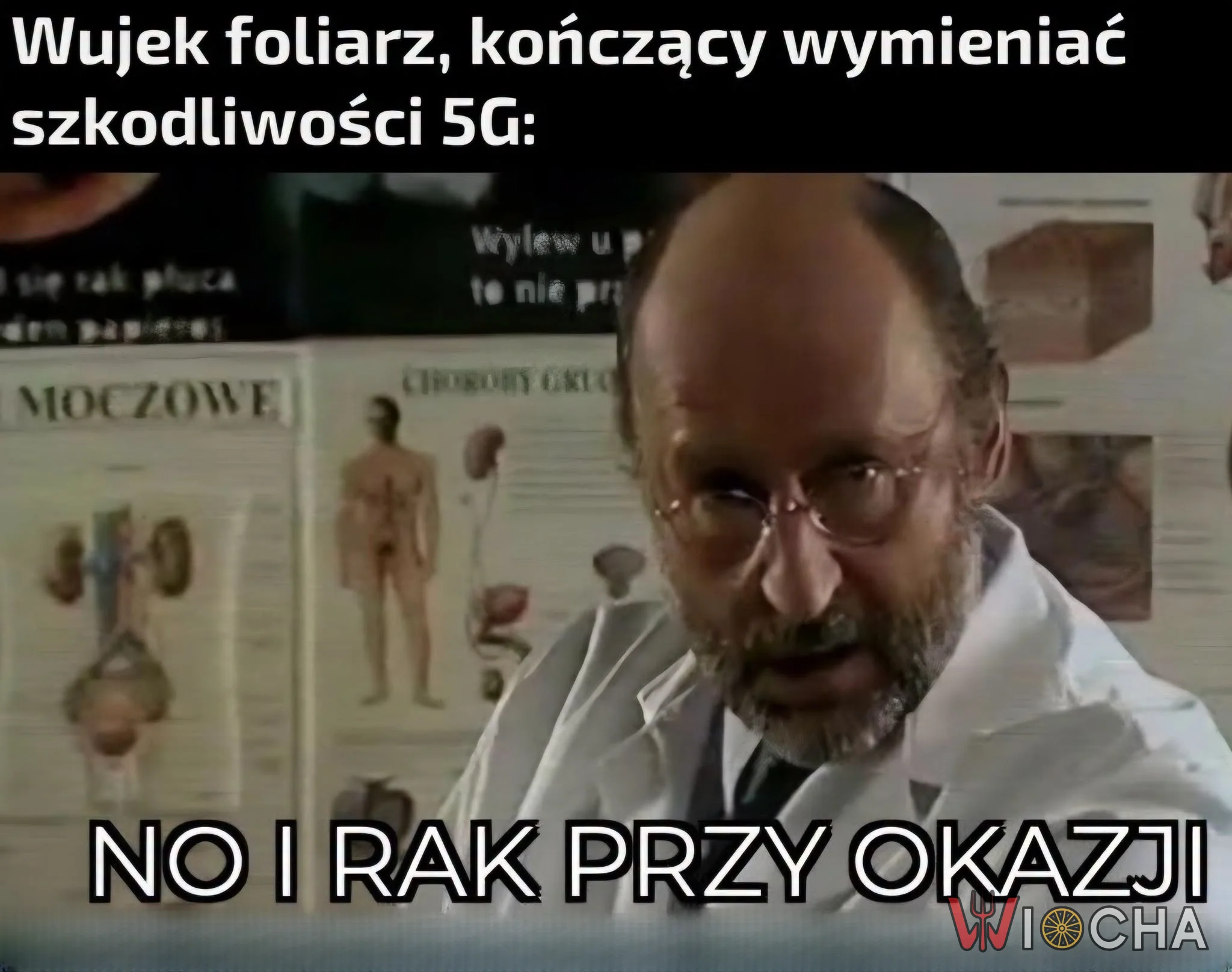 Pov: pytasz o coś Google
