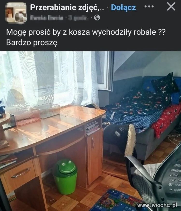 Proszę, aby z kosza wychodziły robale