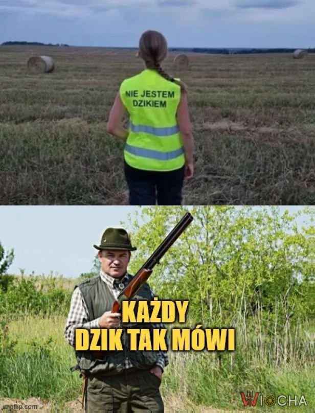 Każdy dzik by tak powiedział