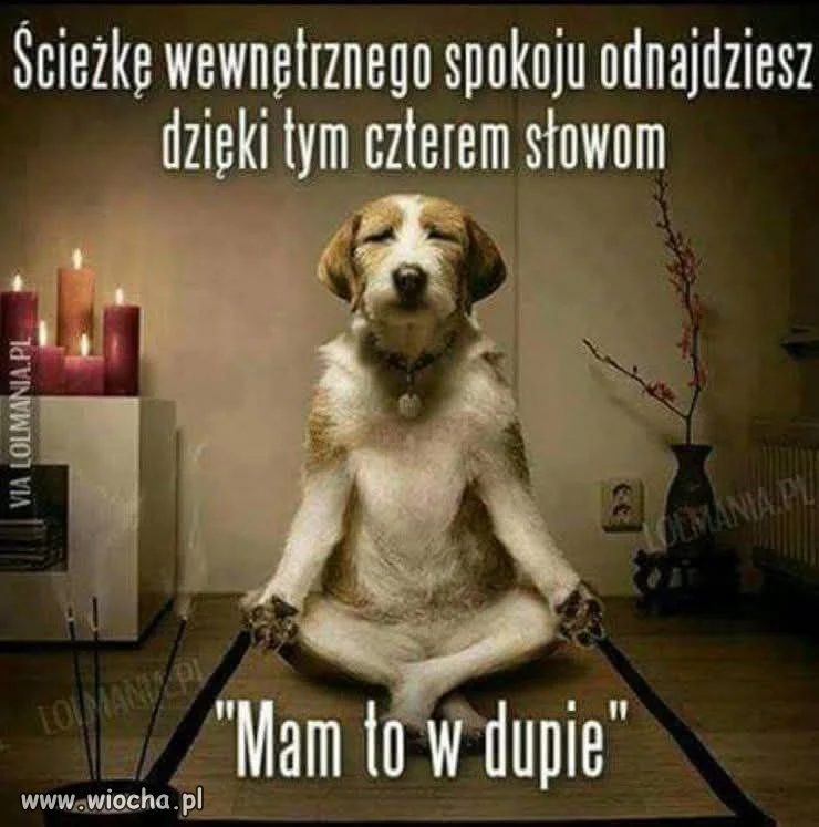 Filozofia życia w skrócie