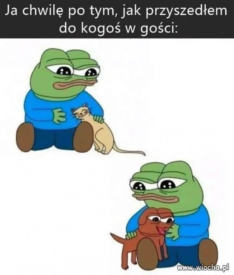 Przepraszam, czy można