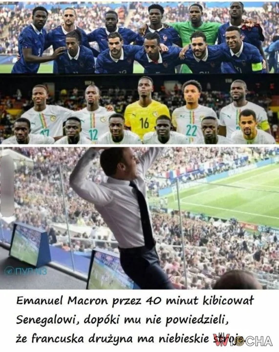 Co zrobić....