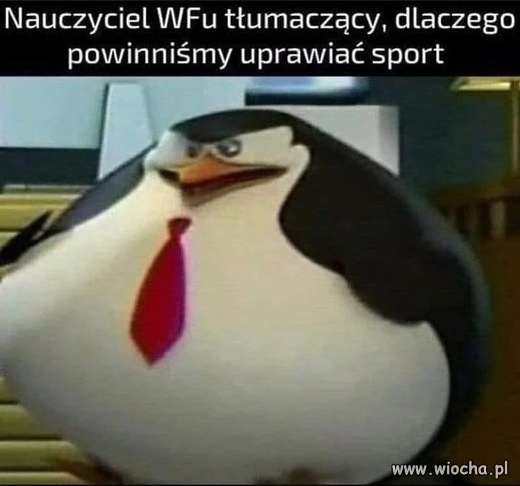 Teoria kontra praktyka