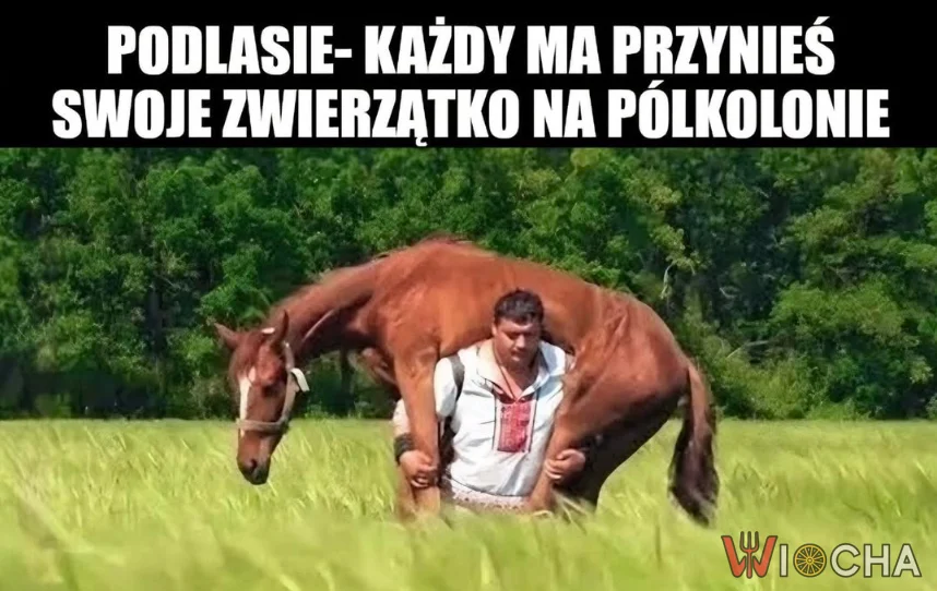 Podlaskie tradycje