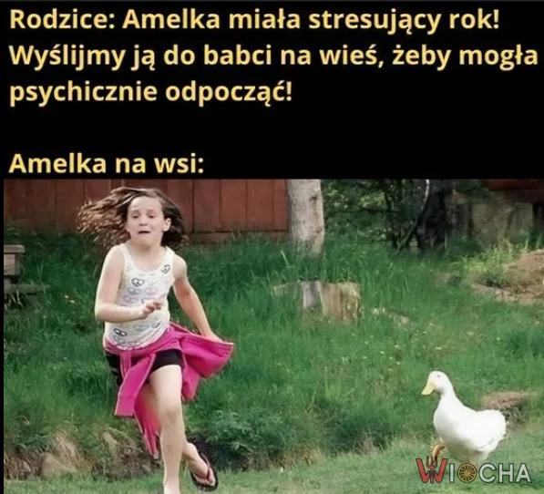 Amelka na wsi