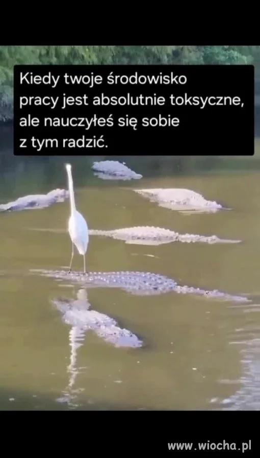 Środowisko pracy jest toksyczne
