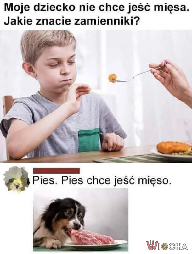 Lepsze jest psiecko?