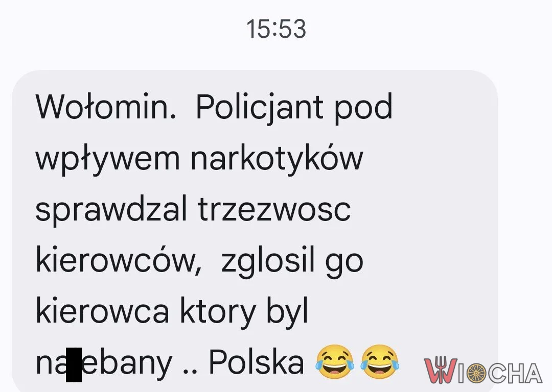 Polska w pigułce?