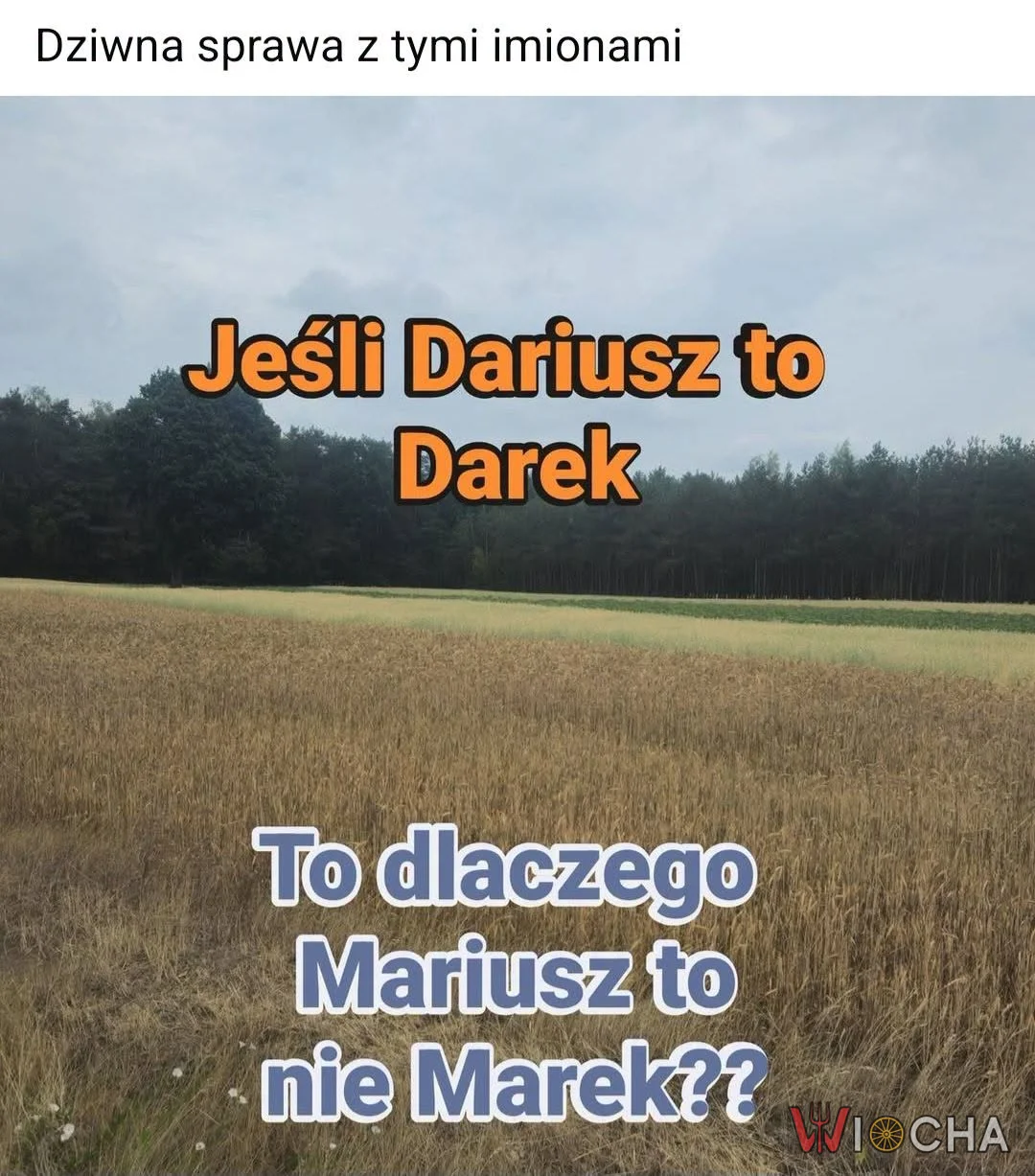 Imionowa logika