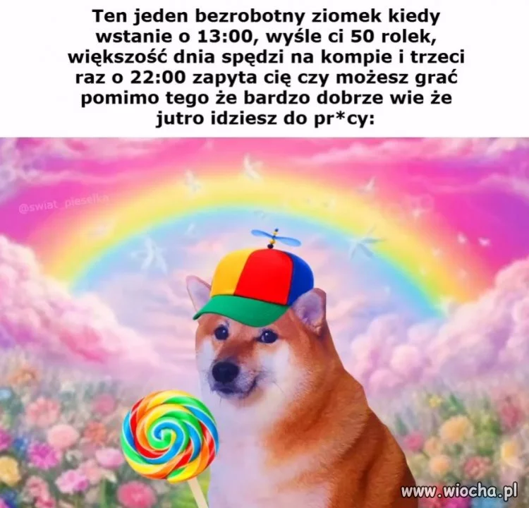 Ziomek, nie denerwuj mnie