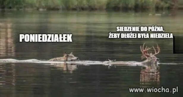 Nikt nie jest gotowy