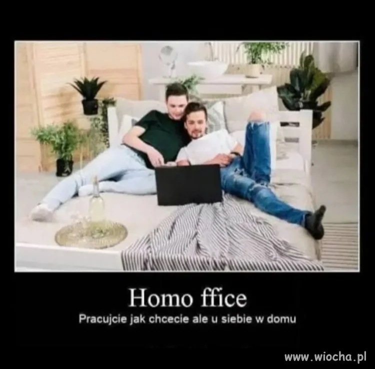 Homo ffice
