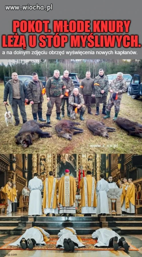 Dziwnie podobne są te zdjęcia.