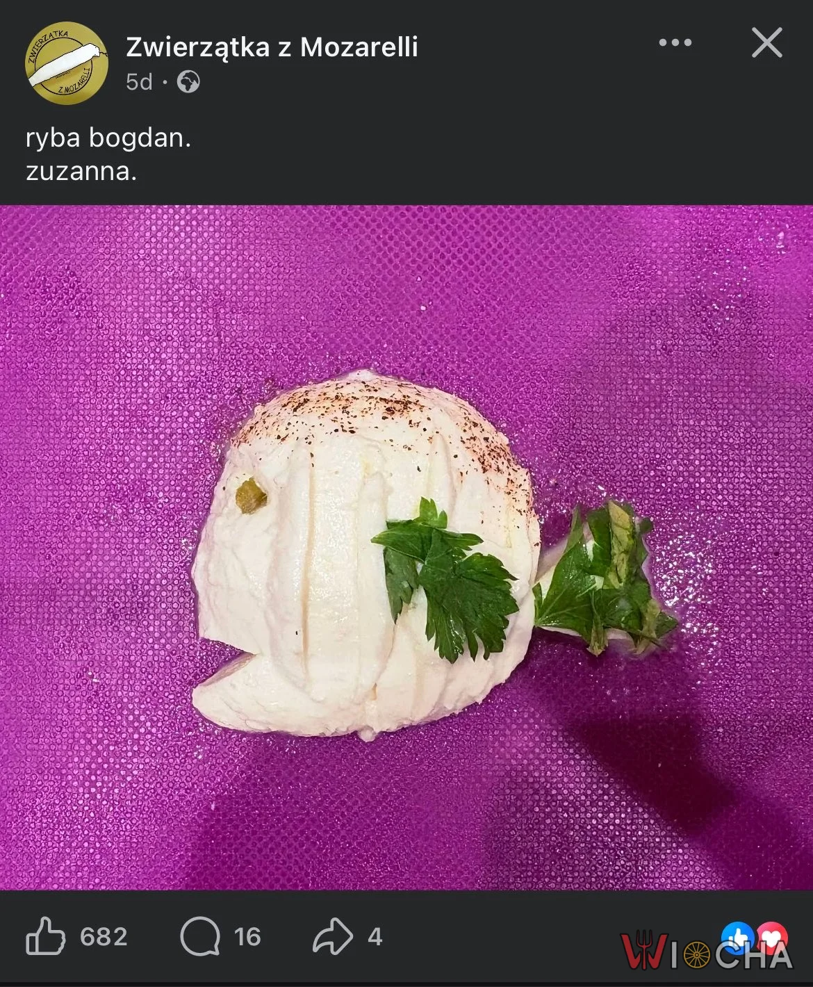 Ryba Bogdan