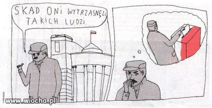 Sami wybrali