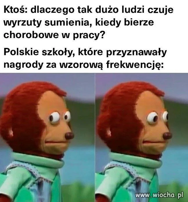 Czekajcie, czyli zostaliśmy tego nauczeni?
