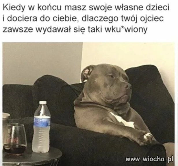 Życie zweryfikowało