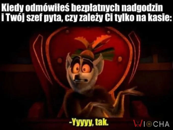 Kasa zawsze w pierwszym planie