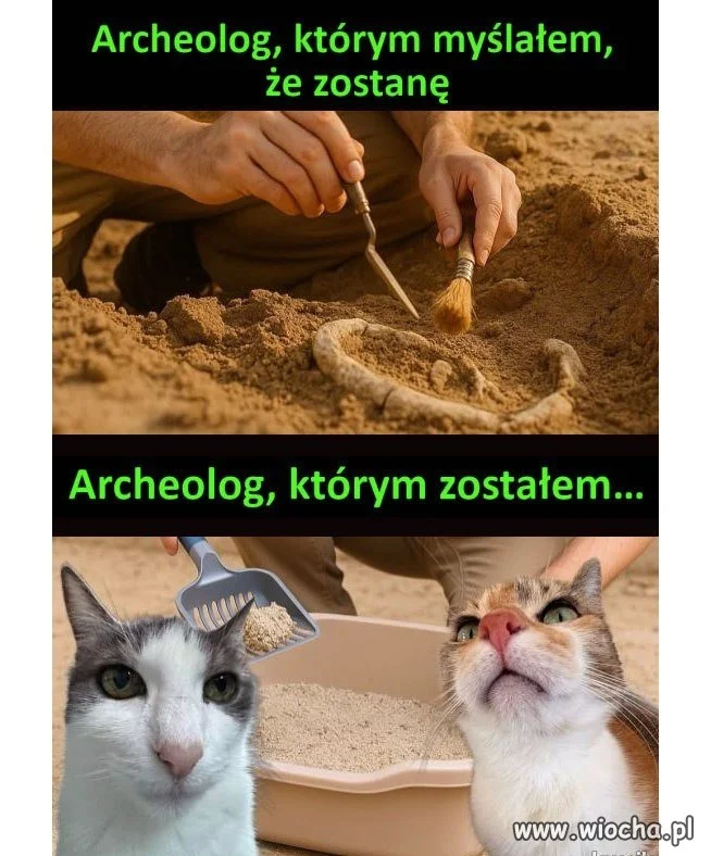 Czy każdy jako dziecko chciał zostać archeologiem?