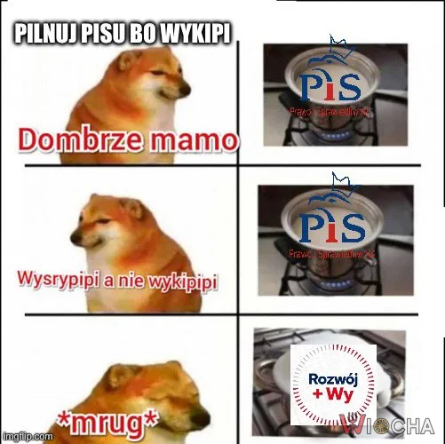 Nie ma opcji, nie wykipi