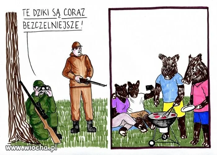 Sezon w pełni 
