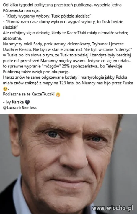 Pocieszne są te KaczeTłuczki 🤭