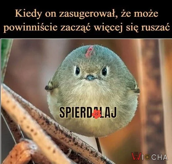Czas na ruch!